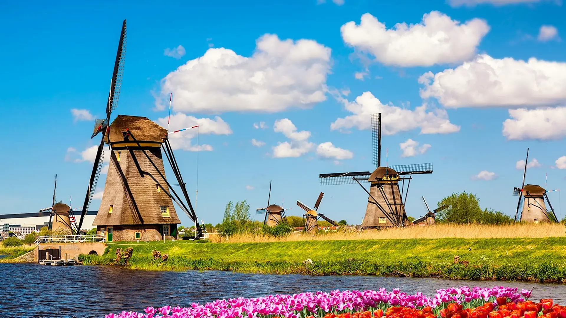 Kinderdijk windmills